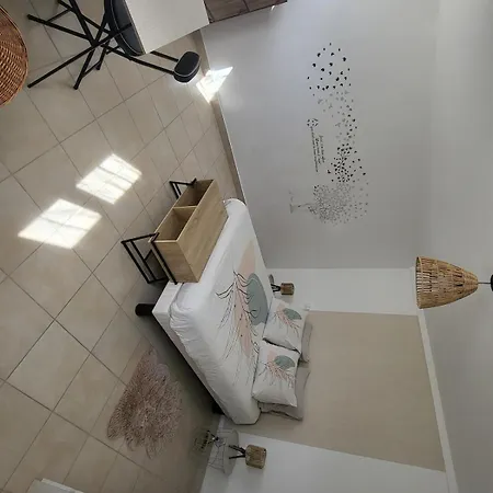 Maison Silva *